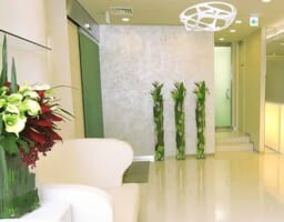 美容医療情報サイトでTHE CLINIC の脂肪豊胸が紹介されました